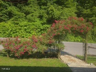 $108,000 | 2301 State Road 636, St. Charles, VA 24282