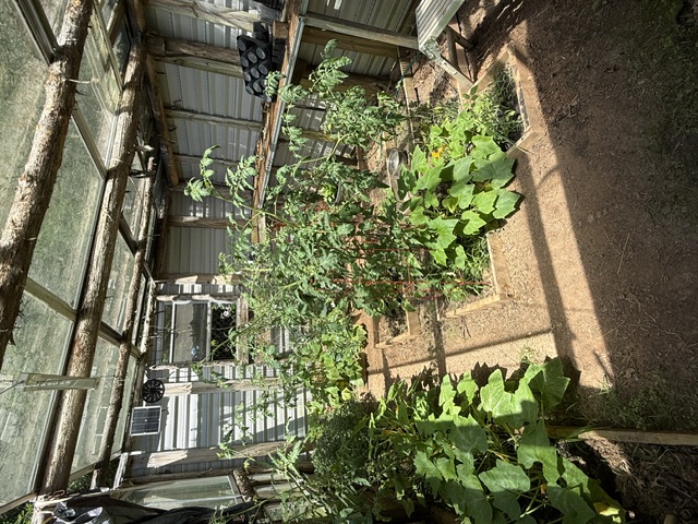731 Glenn Ferry Road Fair Play, SC 29643 - Photo 16 of 23 Cultivate your green thumb within this sunny greenhouse, offering ample space for thriving plants.