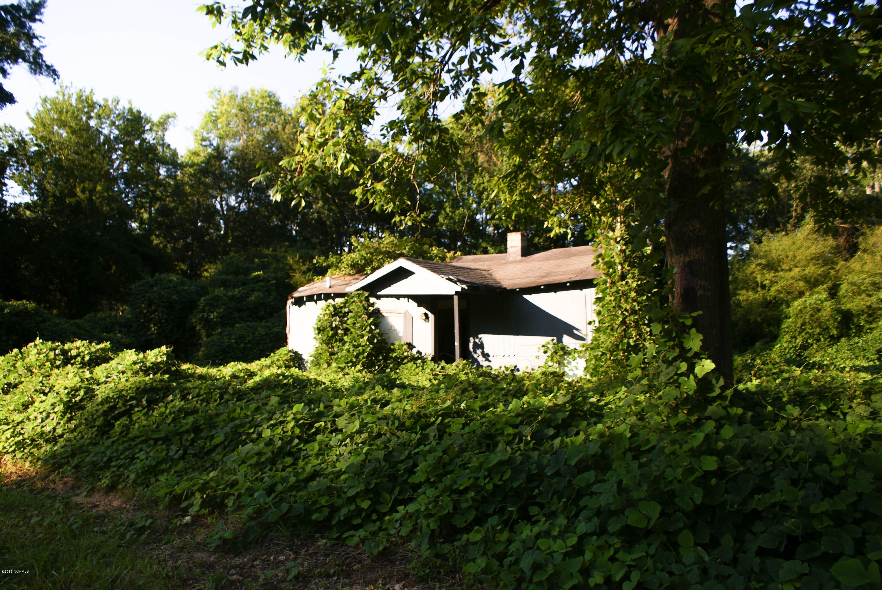 0 Old 125 Road Halifax, NC 27839 - Photo 5 of 17 DSC02570