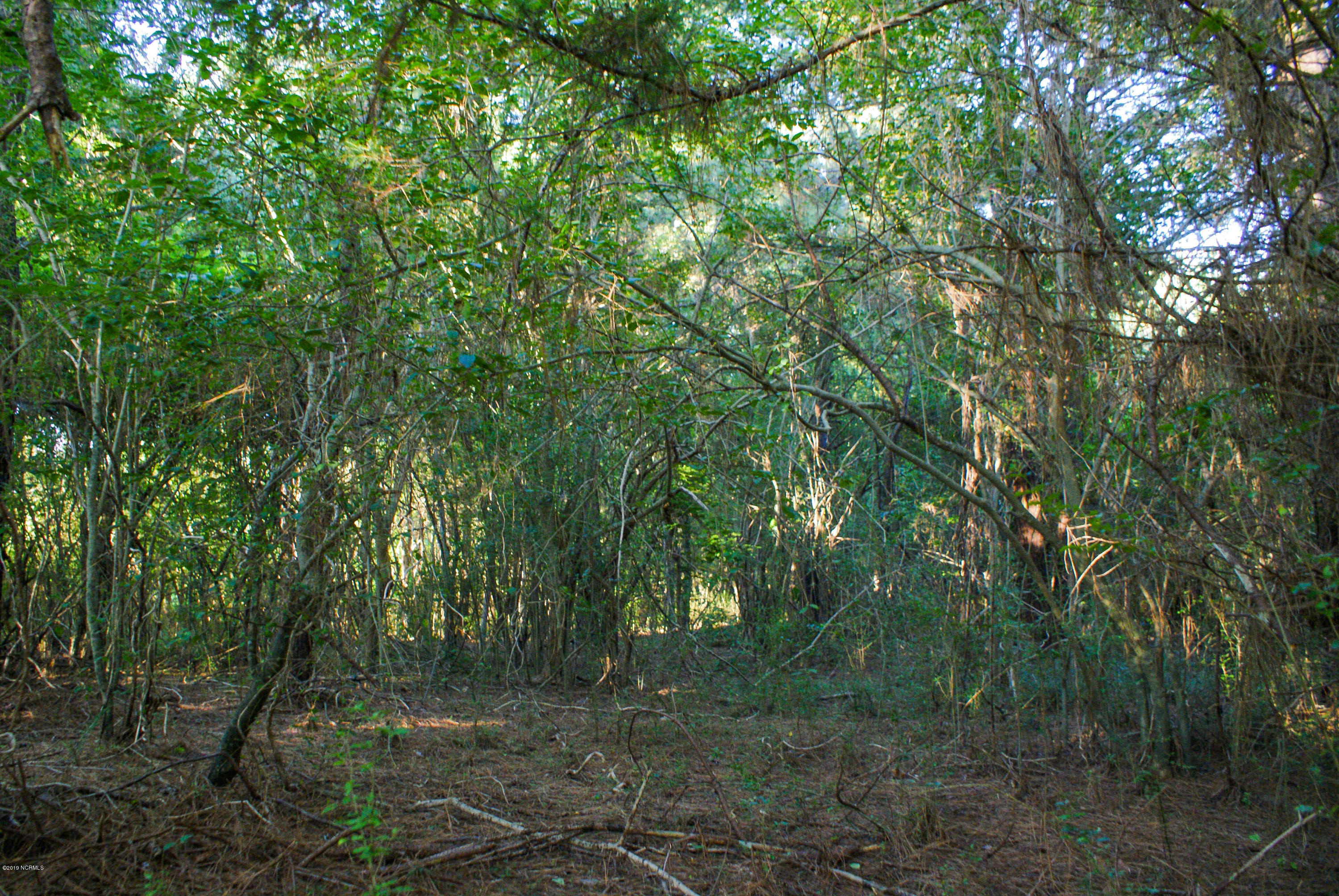 0 Old 125 Road Halifax, NC 27839 - Photo 8 of 17 DSC02591