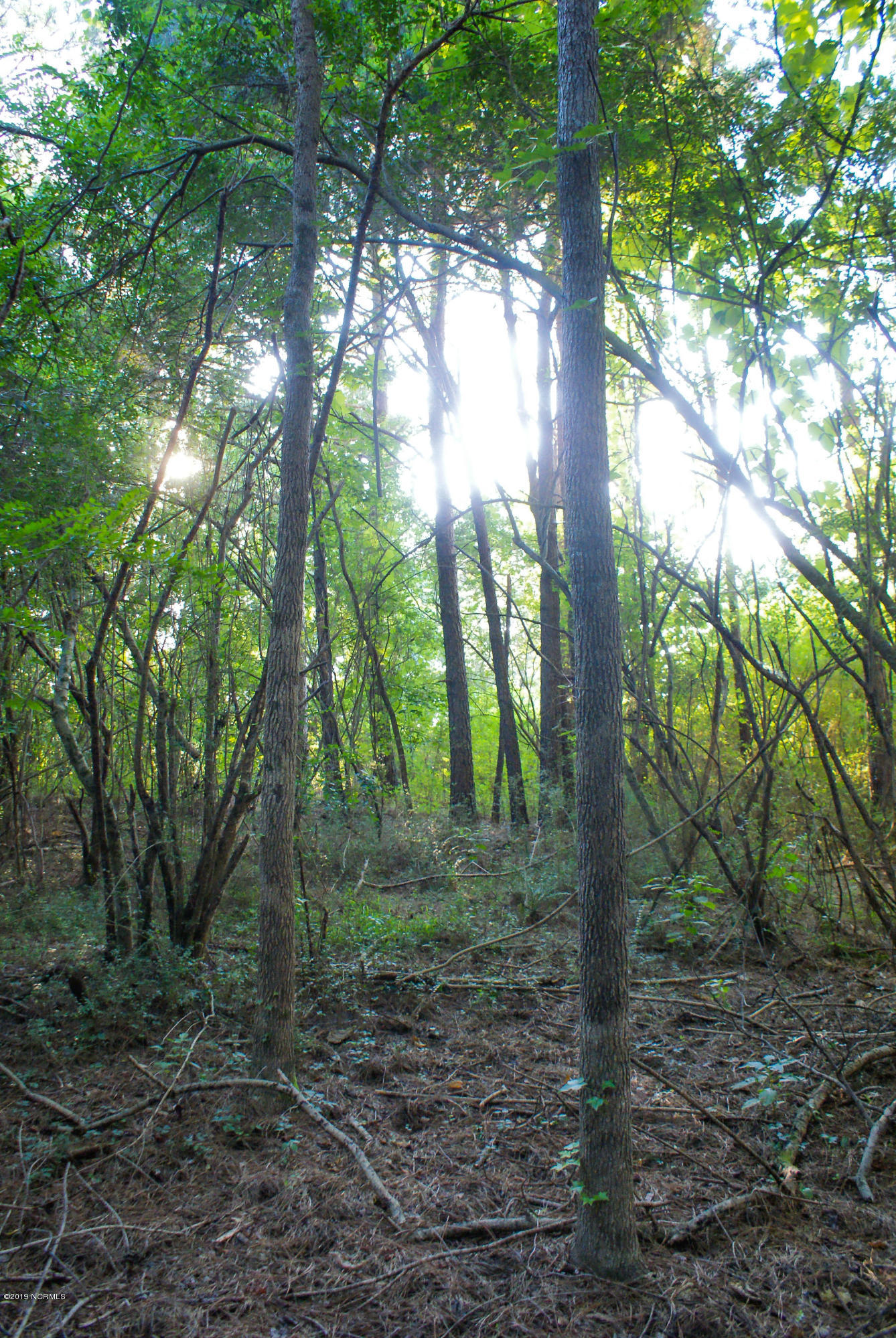 0 Old 125 Road Halifax, NC 27839 - Photo 10 of 17 DSC02594