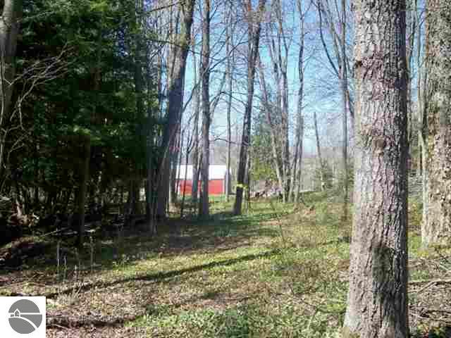14997 Springdale Road Thompsonville, MI 49683 - Photo 14 of 15 1717696-13.JPG