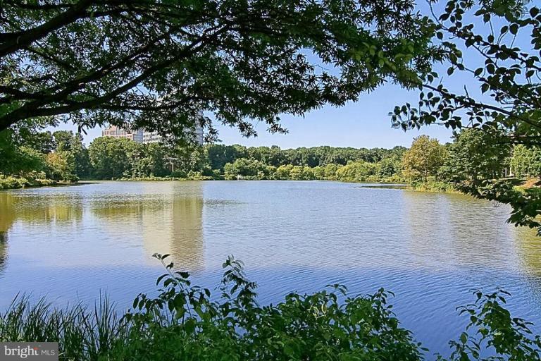 7739 Inversham Drive, Unit 182 Falls Church, VA 22042 - Photo 27 of 30 Lake View