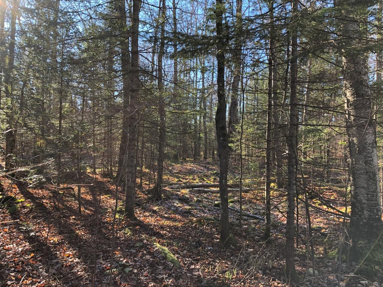 On East Bay Road, Unit LOT 3 Presque Isle, WI 54557 - Photo 20 of 22 Gallery Image 20