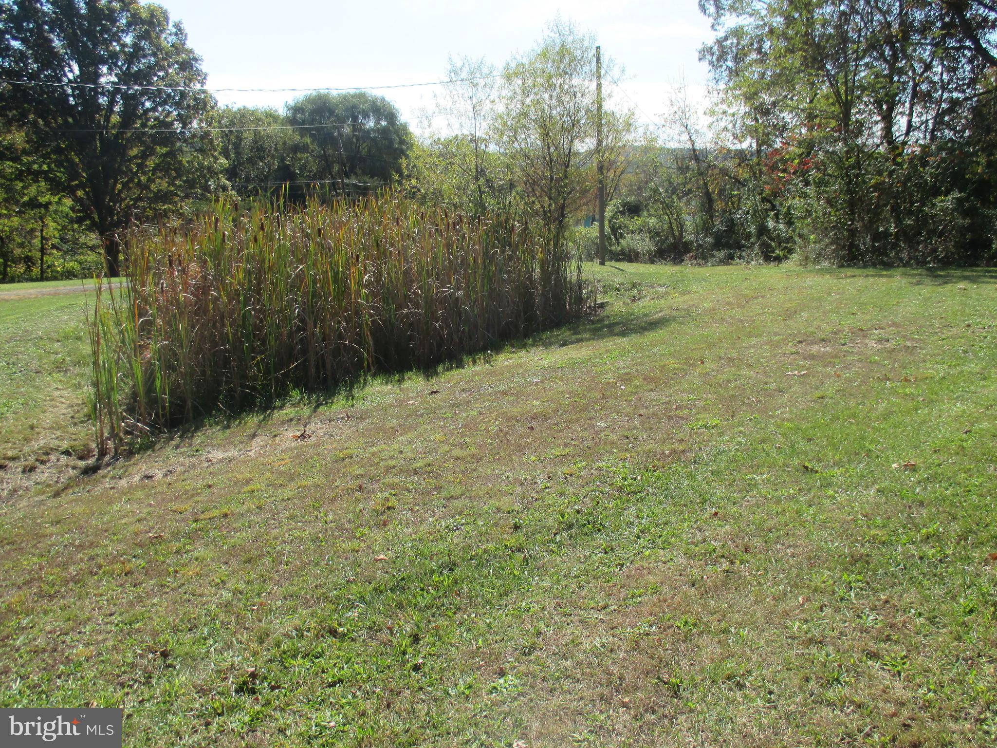 11198 Knobley Road Keyser, WV 26726 - Photo 7 of 24 a view of a yard with a tree