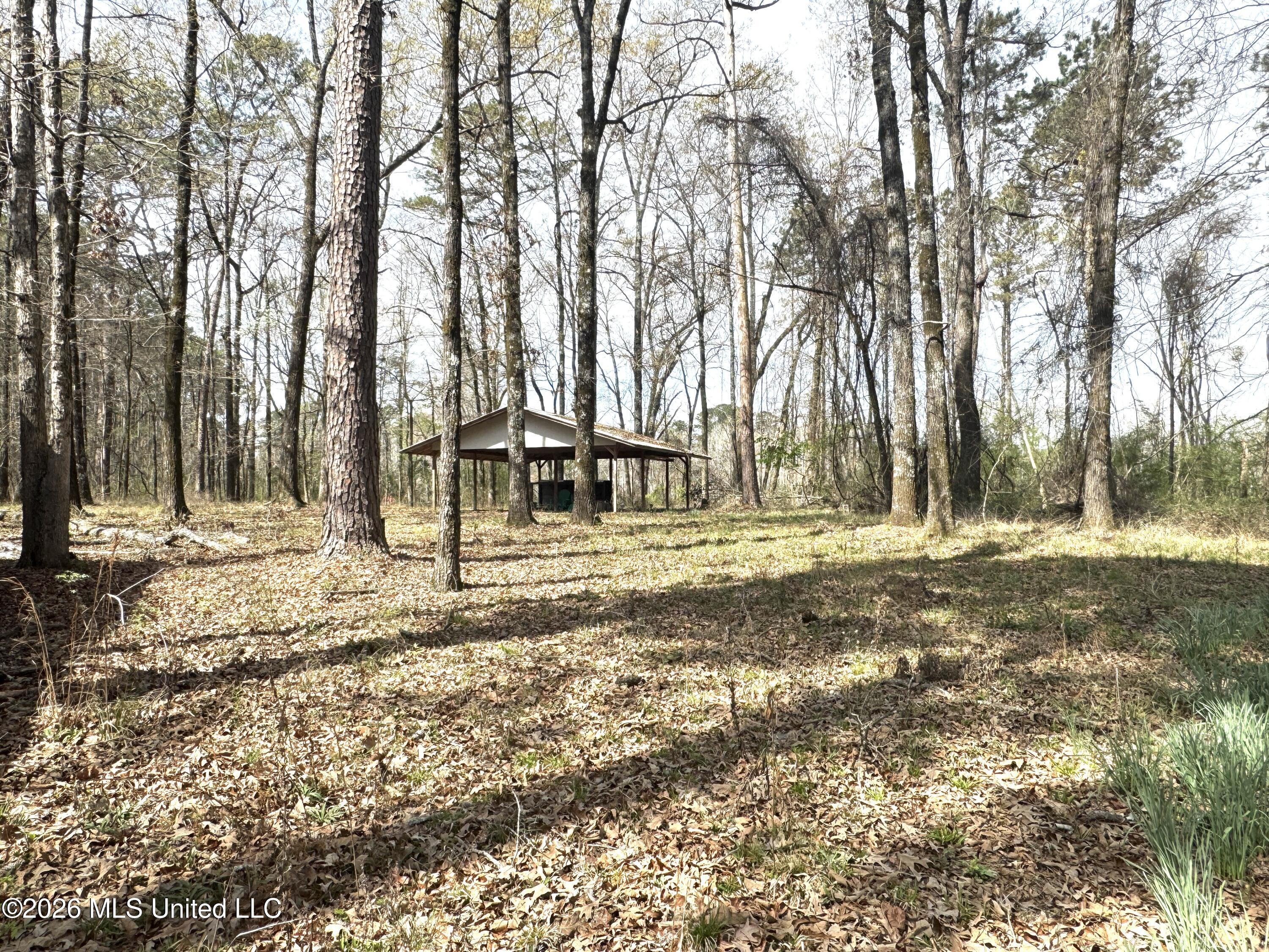 1073 Ratliff Ferry Road Canton, MS 39046 - Photo 14 of 20 IMG_7917