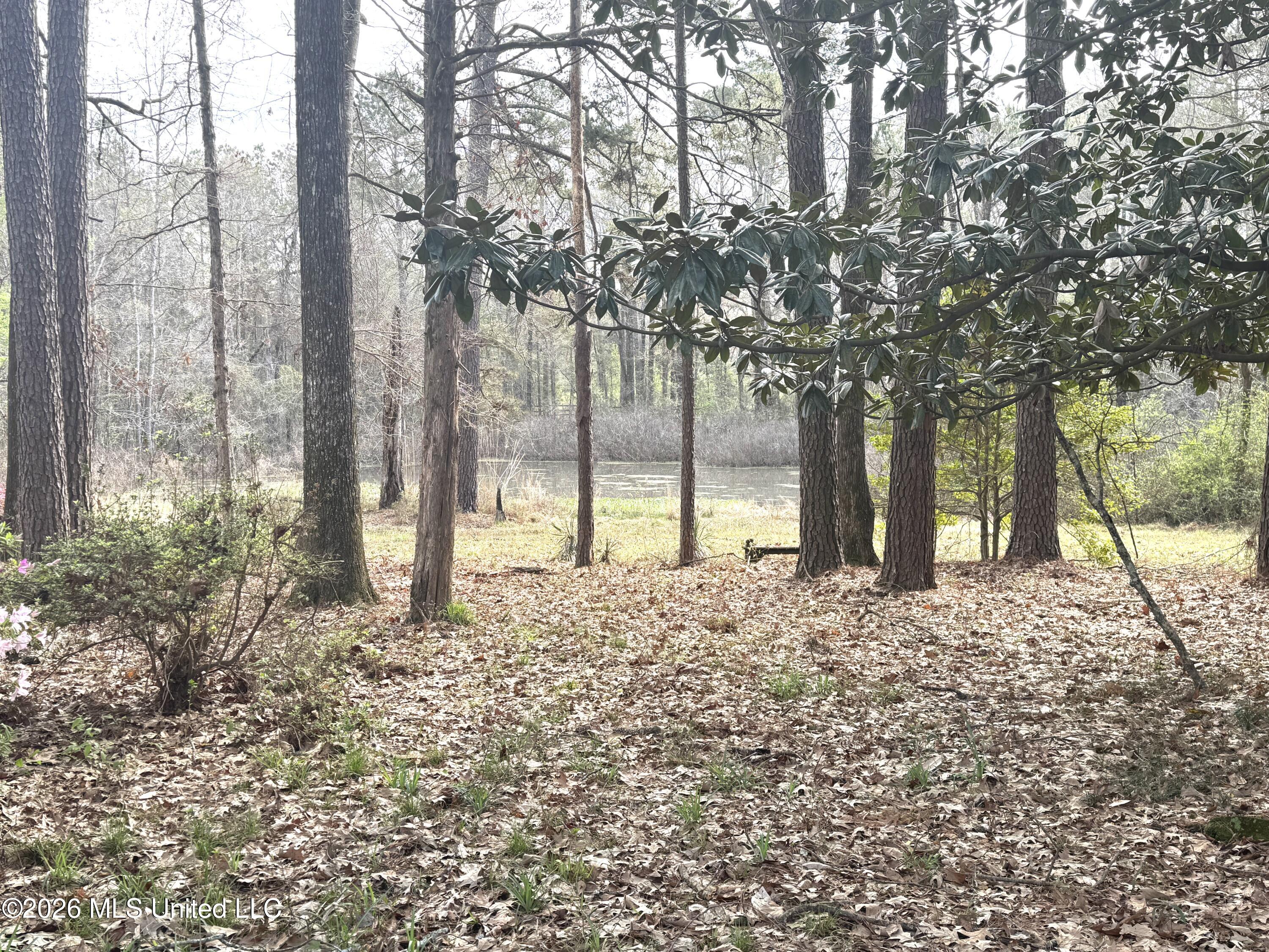 1073 Ratliff Ferry Road Canton, MS 39046 - Photo 4 of 20 IMG_7907