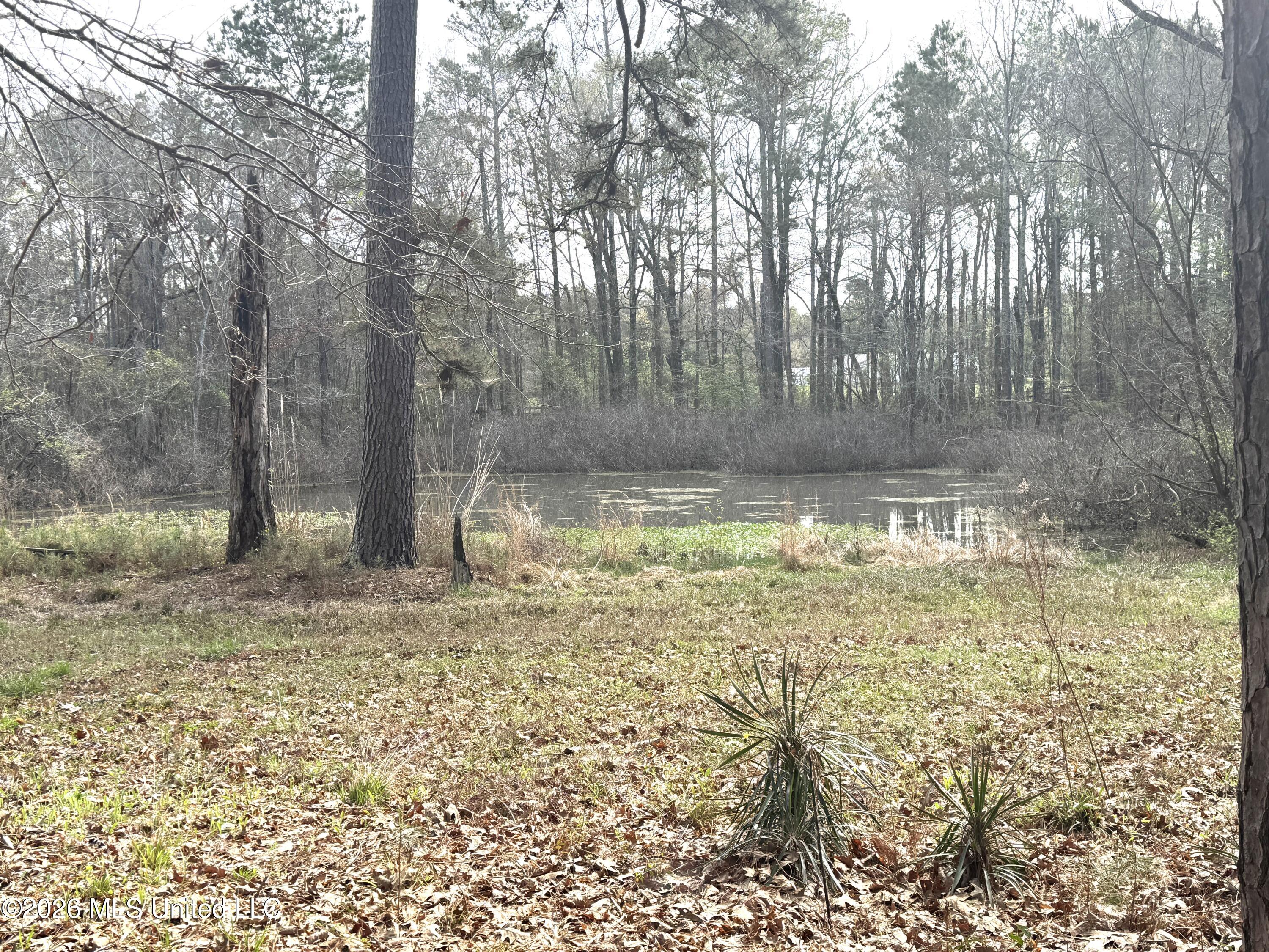 1073 Ratliff Ferry Road Canton, MS 39046 - Photo 5 of 20 IMG_7908