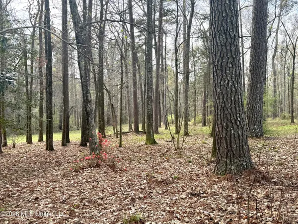 $245,000 | 1073 Ratliff Ferry Road, Canton, MS 39046