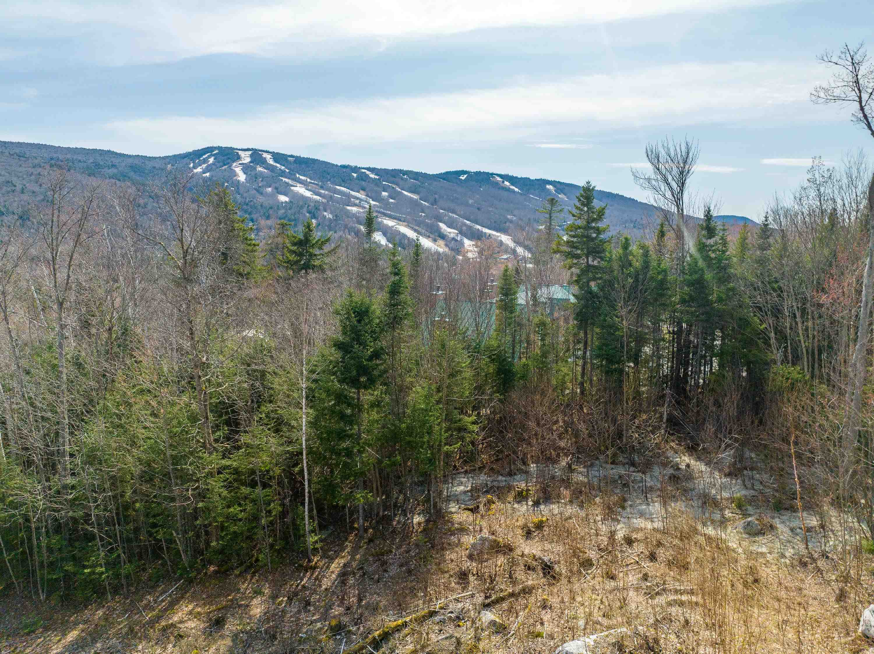 Lot 14 Dartmouth Ridge Road, Unit 14 Twin Mountain, NH 03595 - Photo 2 of 25