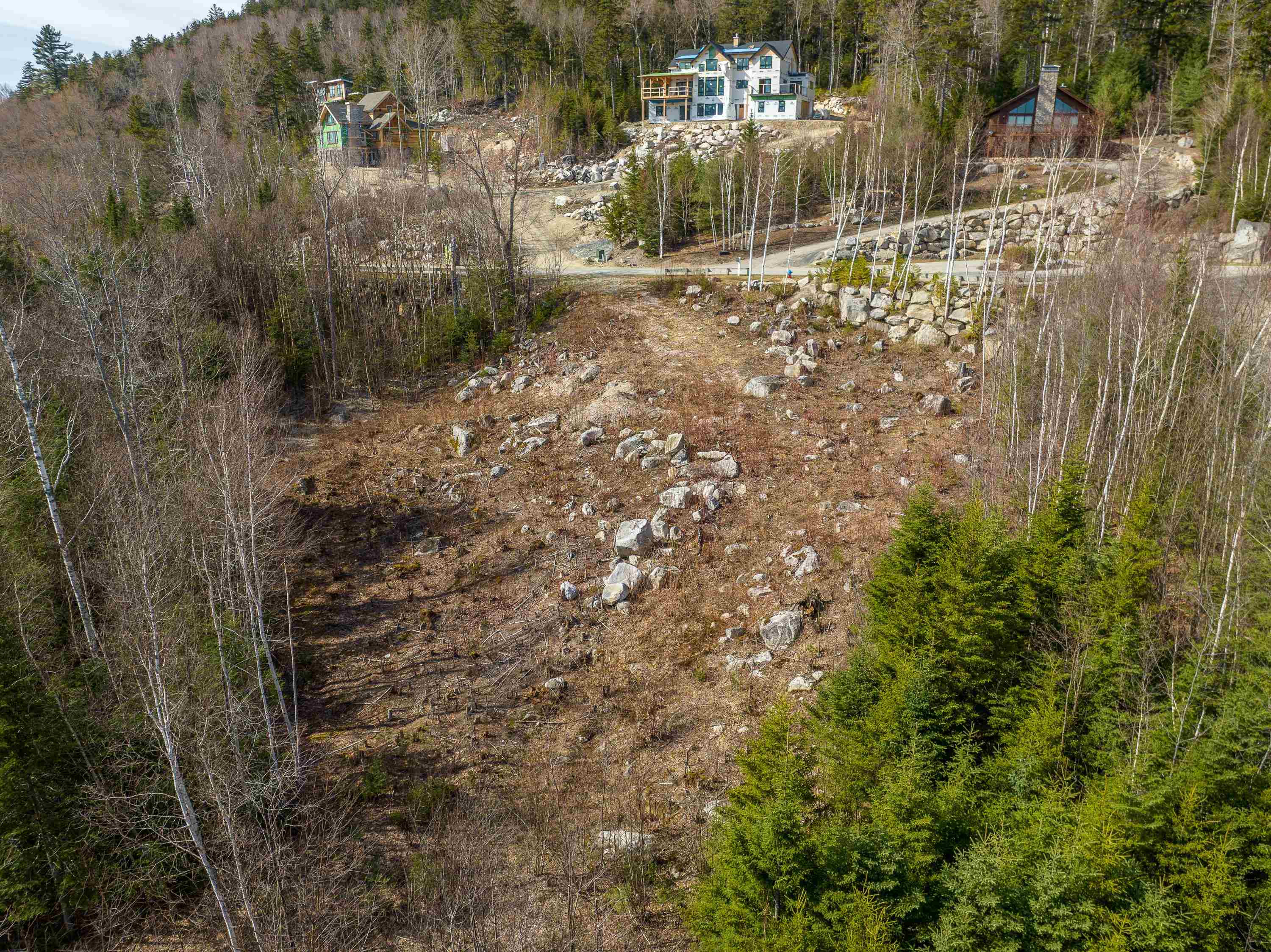 Lot 14 Dartmouth Ridge Road, Unit 14 Twin Mountain, NH 03595 - Photo 23 of 25