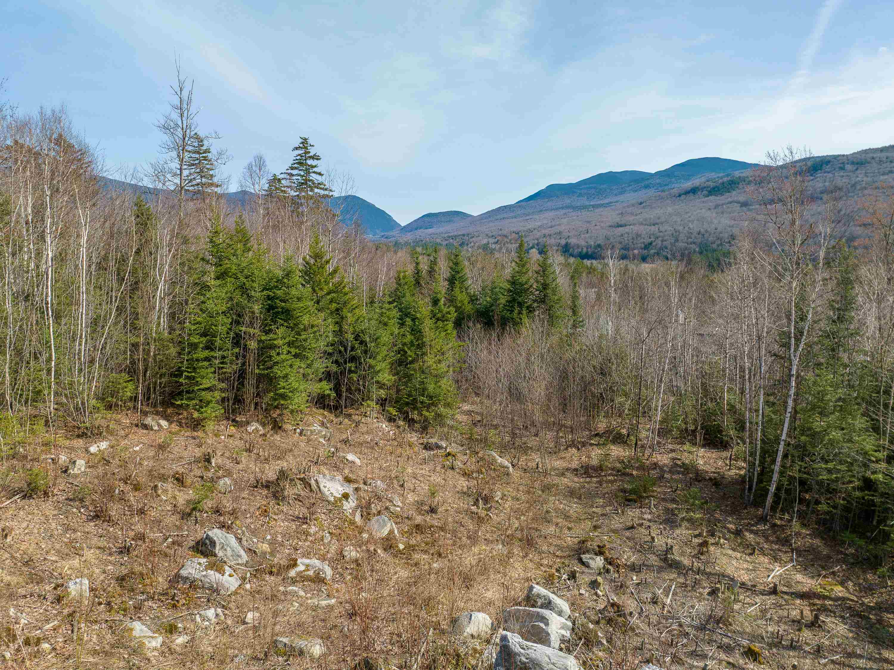 Lot 14 Dartmouth Ridge Road, Unit 14 Twin Mountain, NH 03595 - Photo 4 of 25