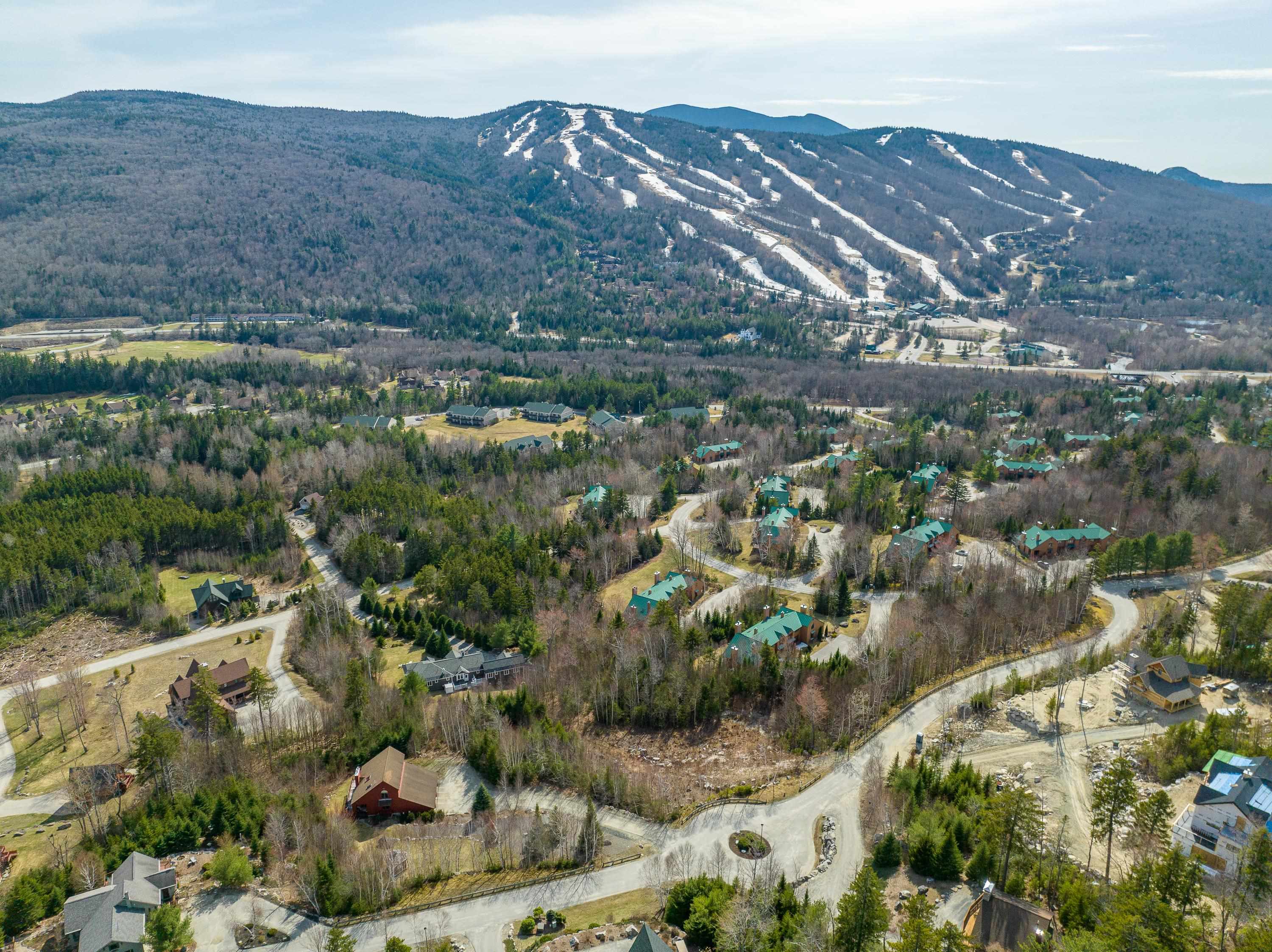 Lot 14 Dartmouth Ridge Road, Unit 14 Twin Mountain, NH 03595 - Photo 8 of 25