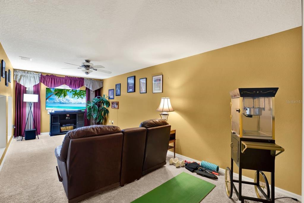 2021 Meadow Rue Court Trinity, FL 34655 - Photo 23 of 41 a living room with fireplace furniture and a flat screen tv