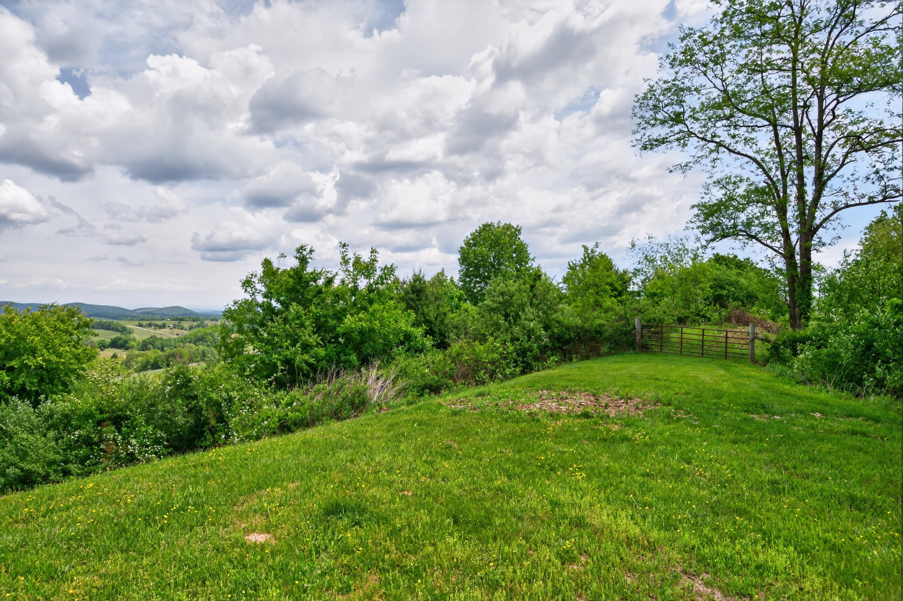 217 Indian Valley Road Willis, VA 24380 - Photo 115 of 120 willis-110