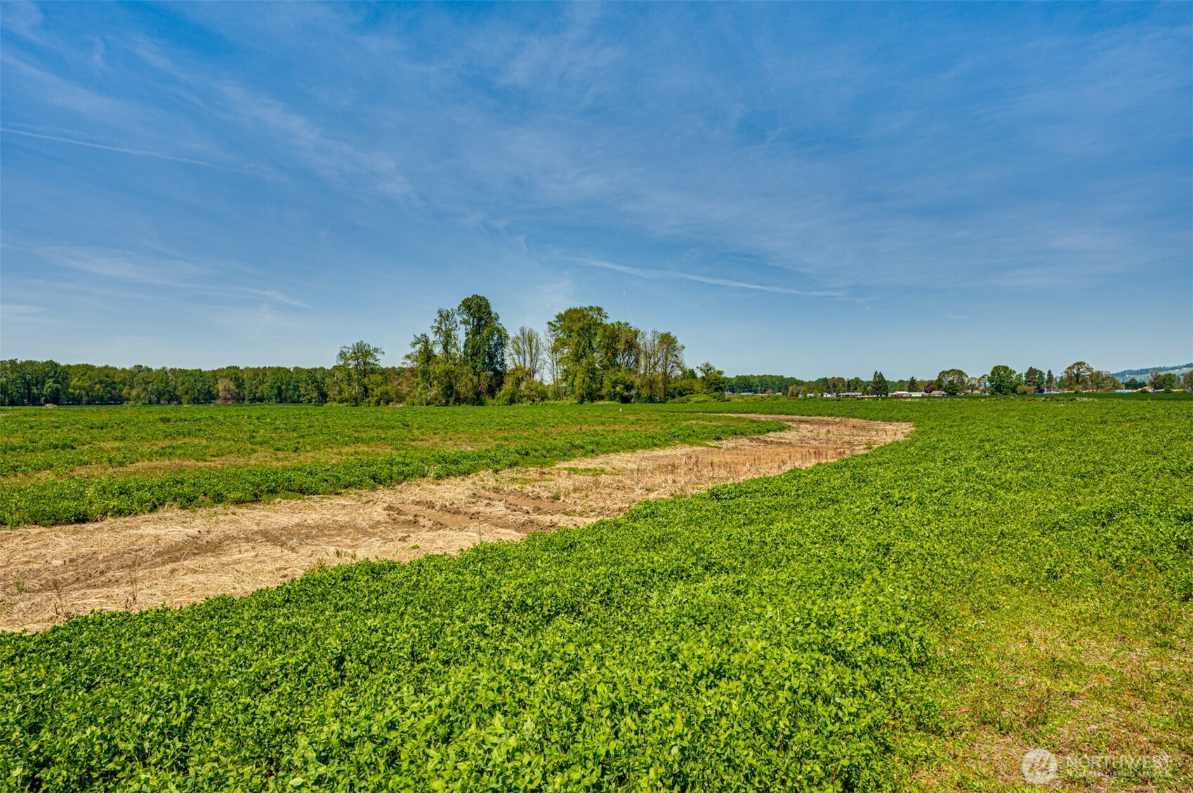0 Whalen Road Woodland, WA 98674 - Photo 11 of 26 a view of a golf course with a field