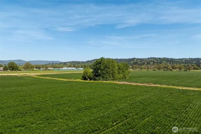 a view of a green field with an ocean