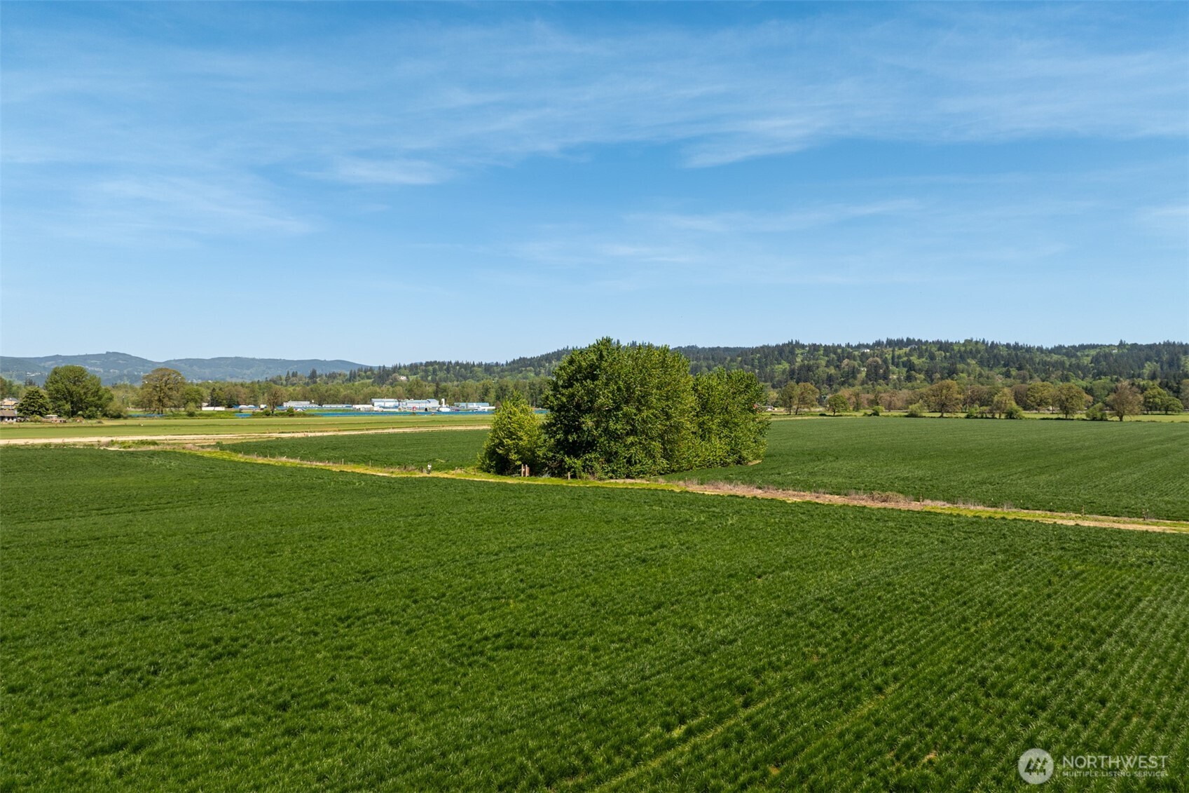 0 Whalen Road Woodland, WA 98674 - Photo 14 of 26 a view of a green field with an ocean