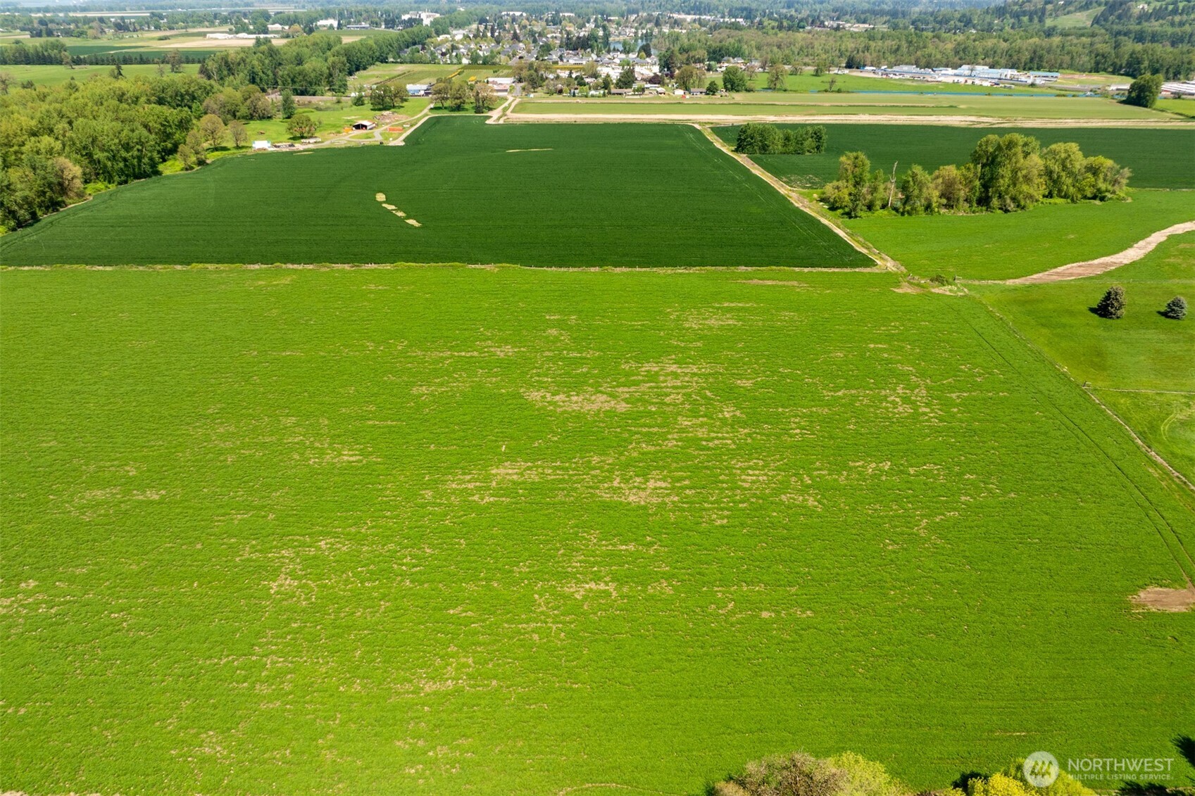 0 Whalen Road Woodland, WA 98674 - Photo 17 of 26 a view of a city