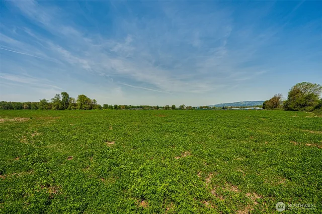 a view of a grassy field