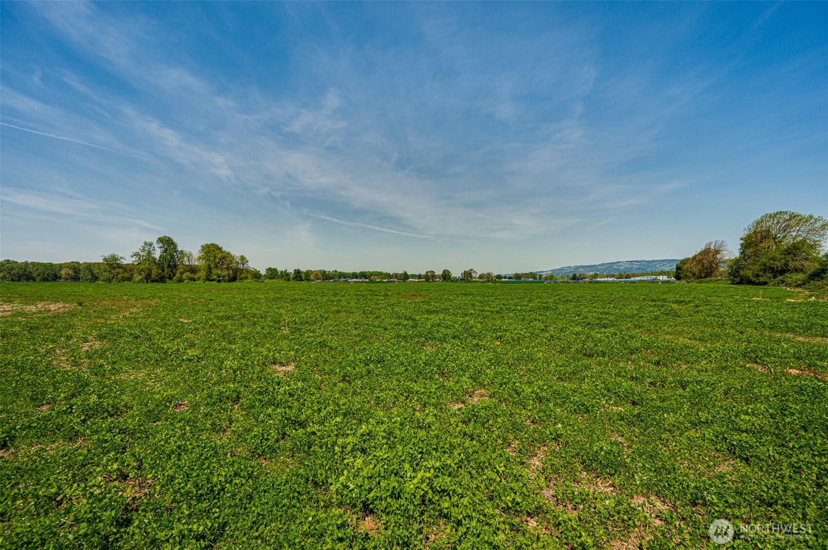 0 Whalen Road Woodland, WA 98674 - Photo 25 of 26 a view of a grassy field