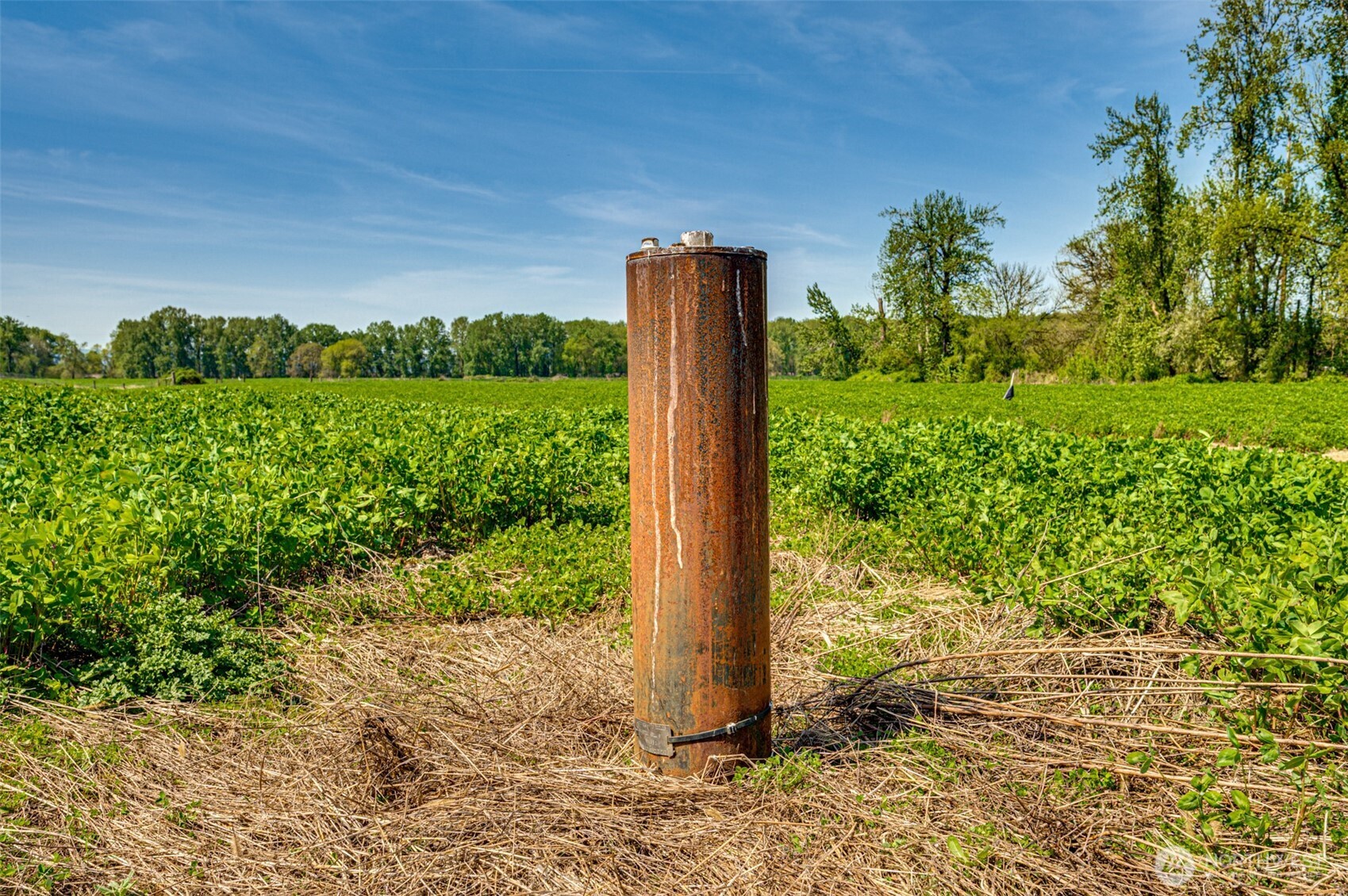 0 Whalen Road Woodland, WA 98674 - Photo 3 of 26 a view of a garden with plants