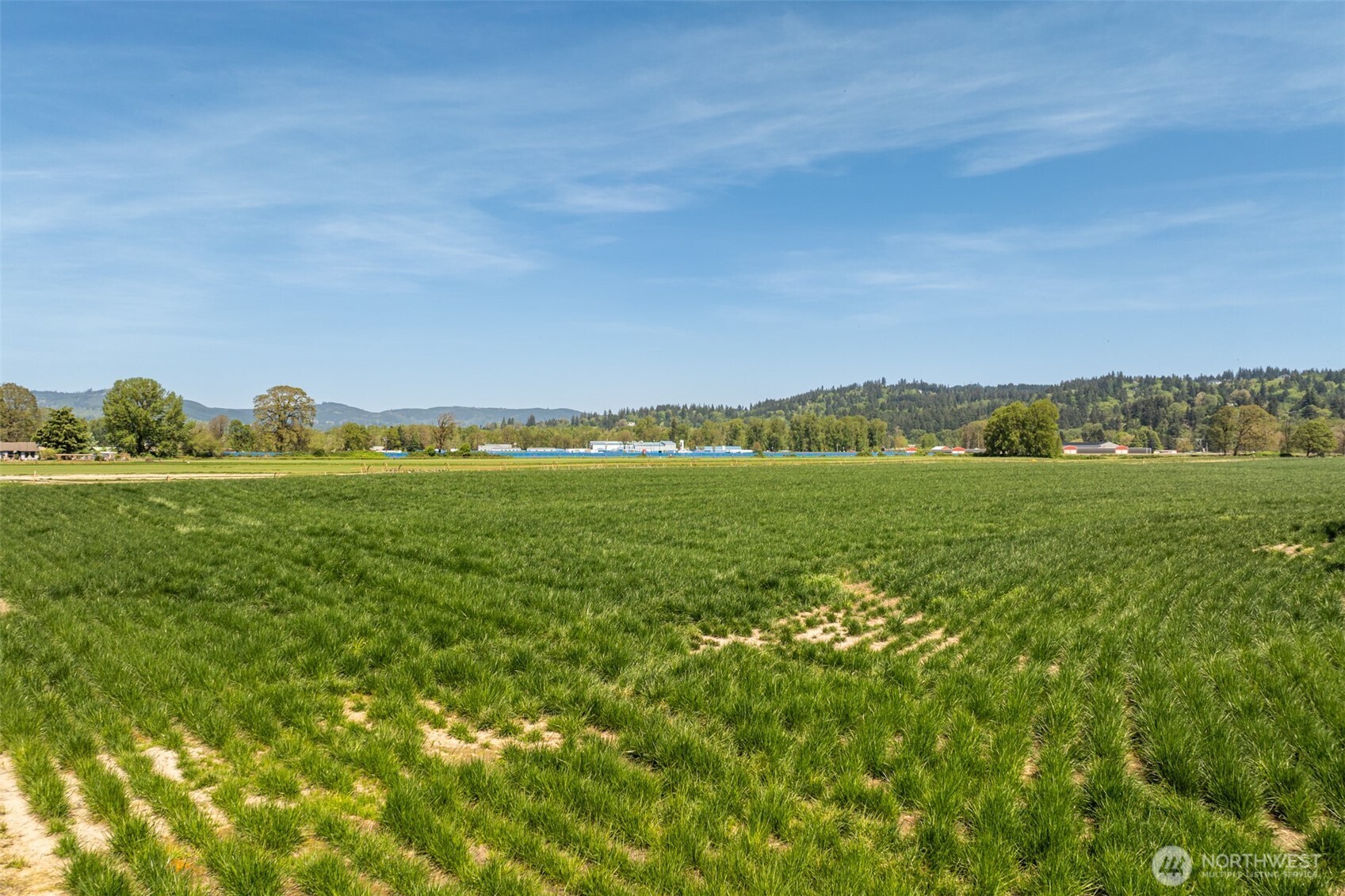 0 Whalen Road Woodland, WA 98674 - Photo 4 of 26 a view of a field with an ocean