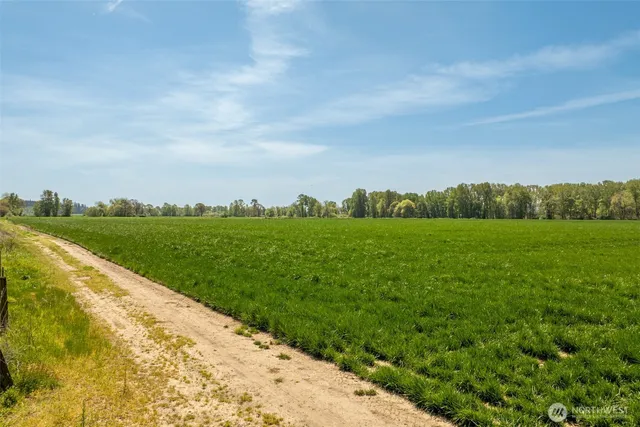 a view of a grassy field
