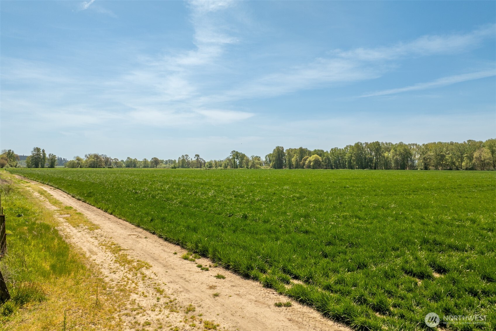 0 Whalen Road Woodland, WA 98674 - Photo 5 of 26 a view of a grassy field