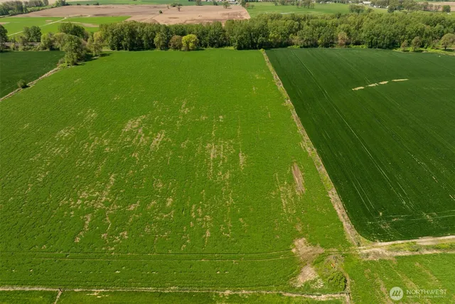 a view of a golf course