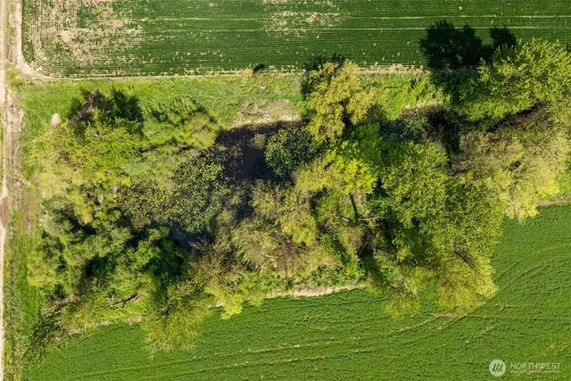 a view of a lake view