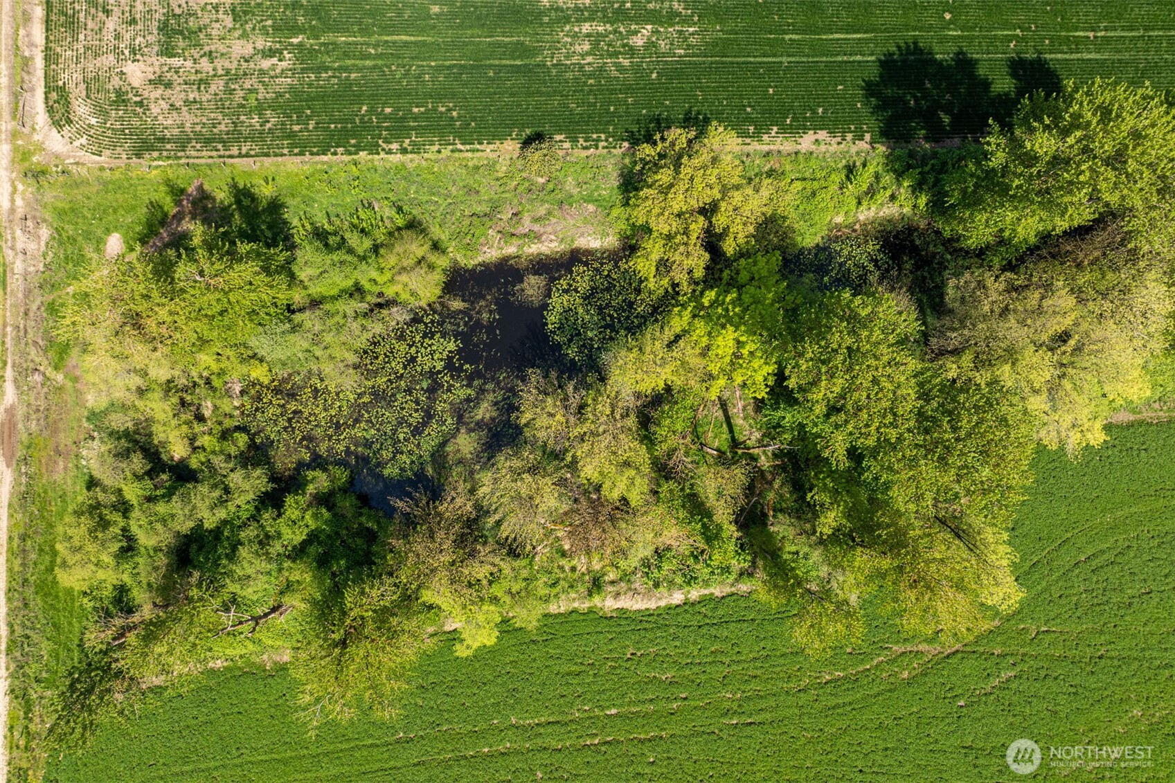 0 Whalen Road Woodland, WA 98674 - Photo 10 of 26 a view of a lake view