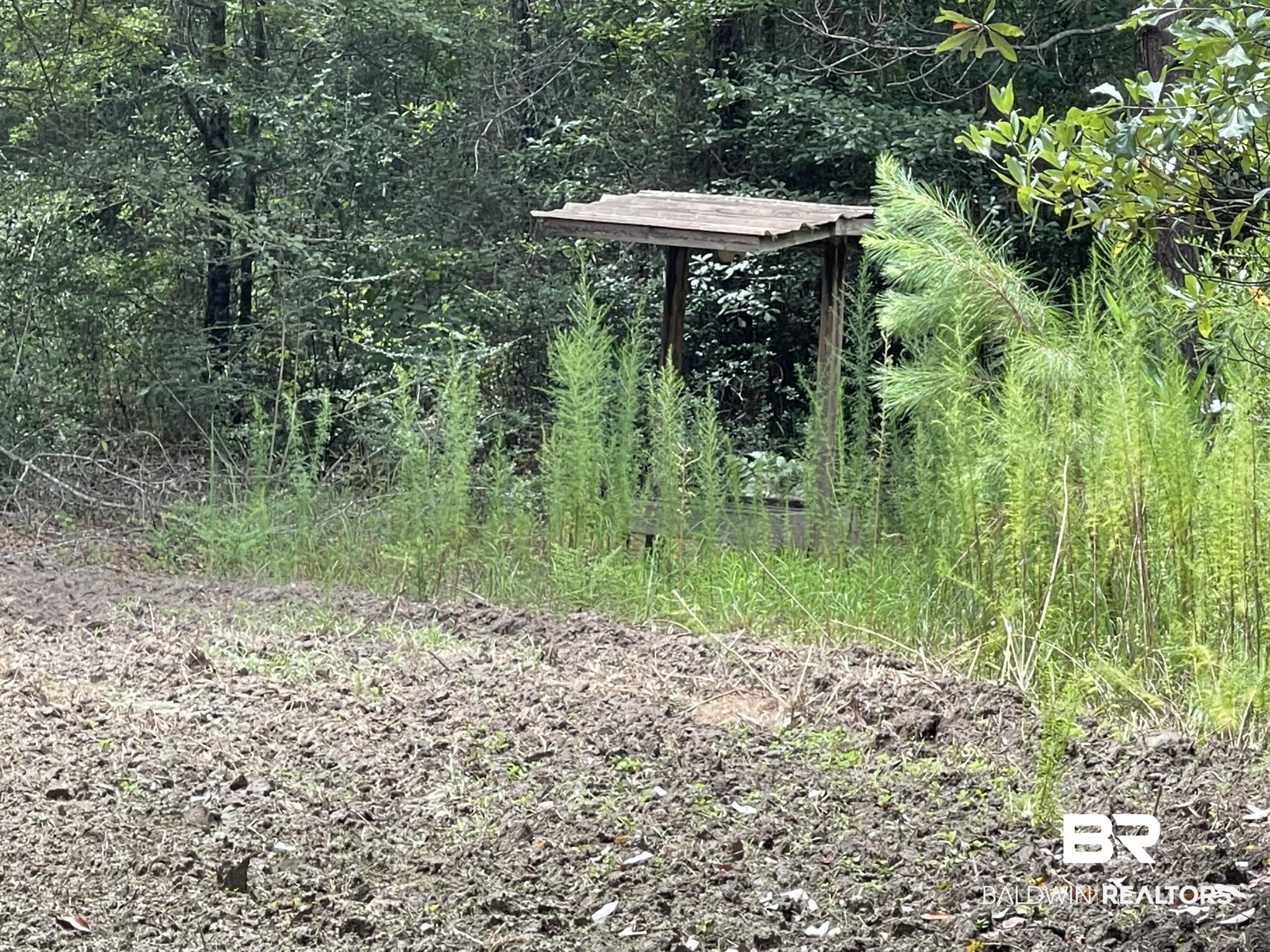0 County Road 11 Wing, AL 36483 - Photo 29 of 37