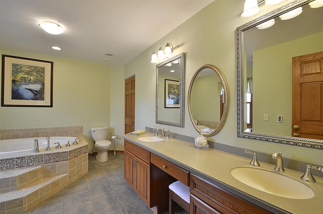 1616 South Tyler Road St. Charles, IL 60174 - Photo 13 of 25 a bathroom with a granite countertop double vanity sink and a mirror