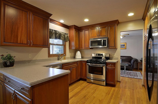 1616 South Tyler Road St. Charles, IL 60174 - Photo 6 of 25 a kitchen with stainless steel appliances granite countertop a sink stove and refrigerator