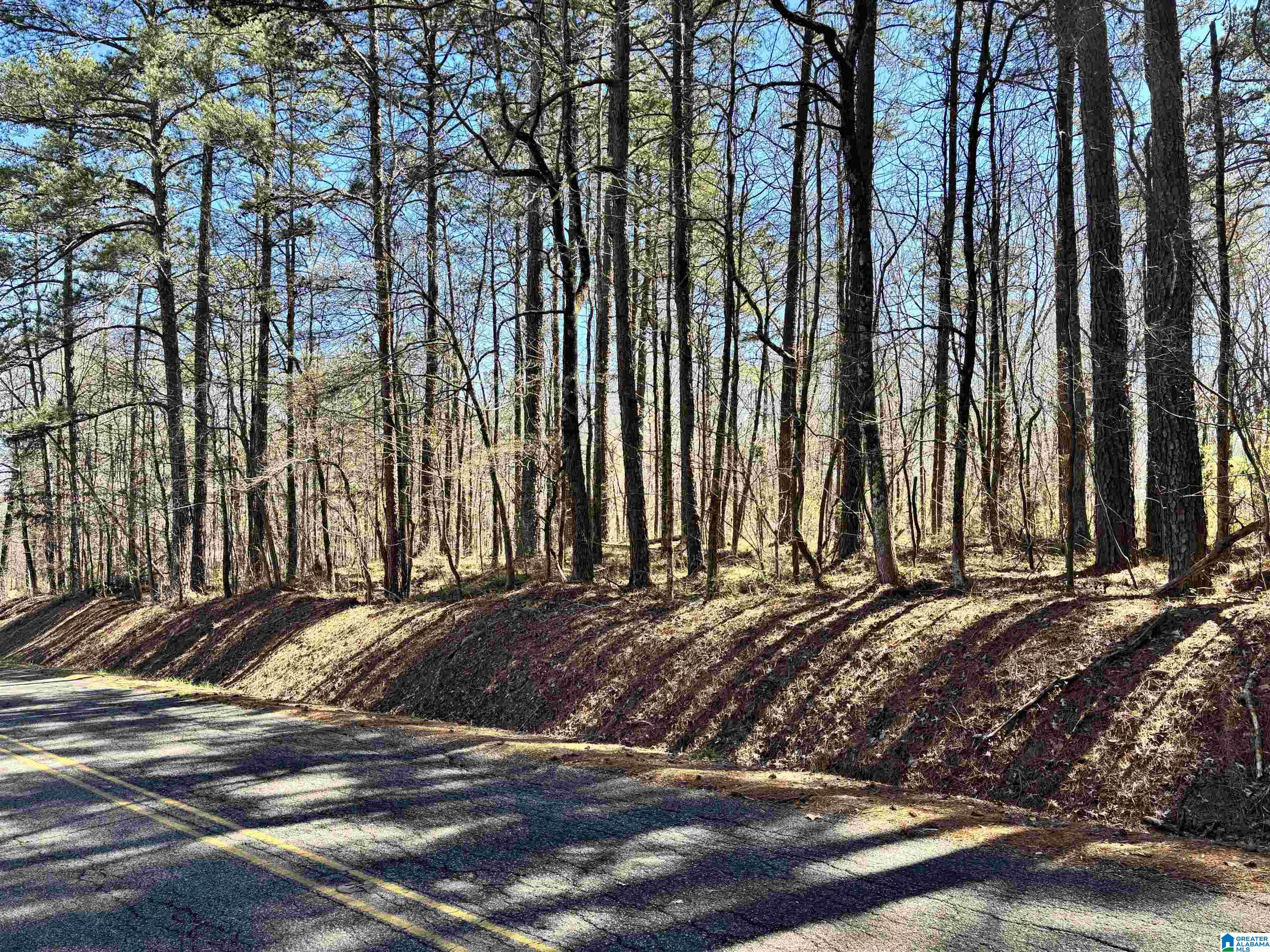 Lot 1 Morton Road, Unit 1 Blountsville, AL 35031 - Photo 1 of 1