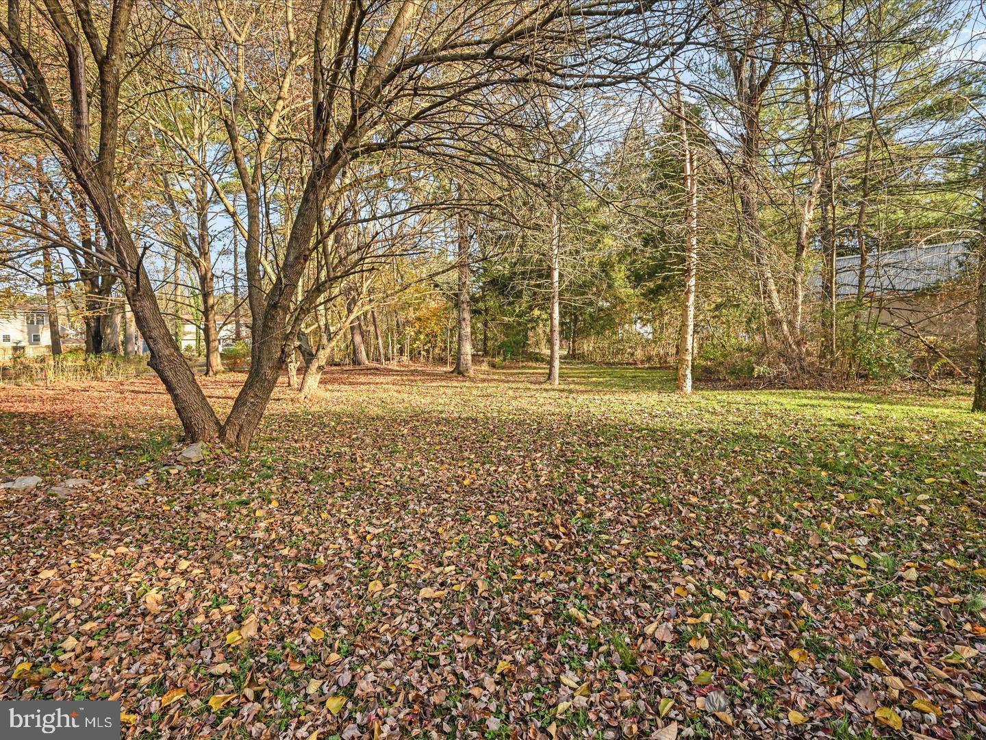 Maple Boulevard Orwigsburg, PA 17961 - Photo 2 of 2