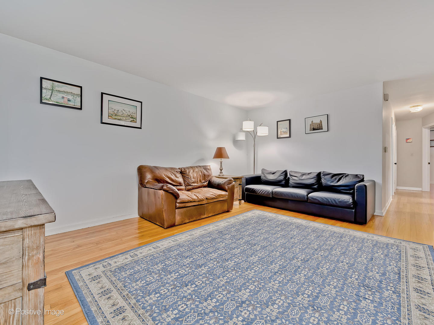1910 Warren Street Evanston, IL 60202 - Photo 4 of 22 a living room with furniture and a rug