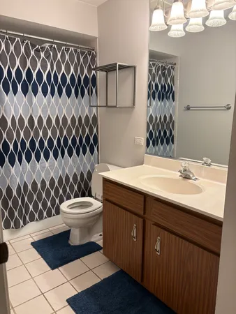 a bathroom with a sink and a toilet