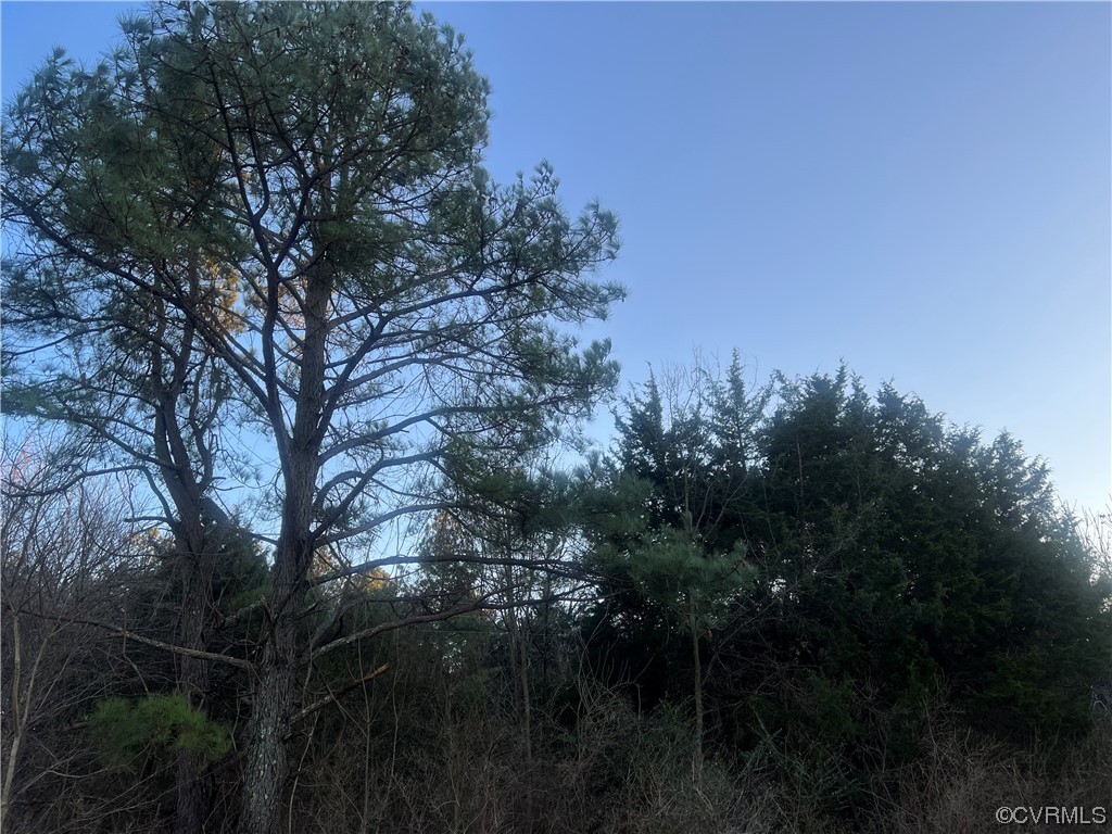 a view of outdoor space and a yard