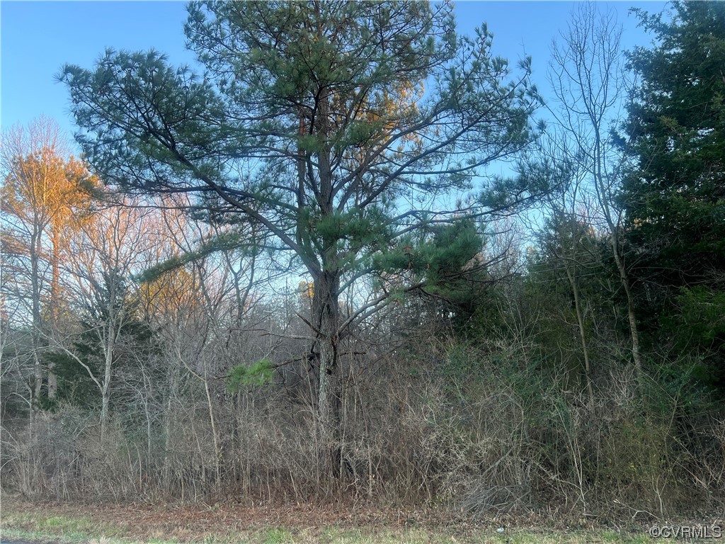 Tbd Hixburg Road Pamplin, VA 23958 - Photo 2 of 4 a view of a forest