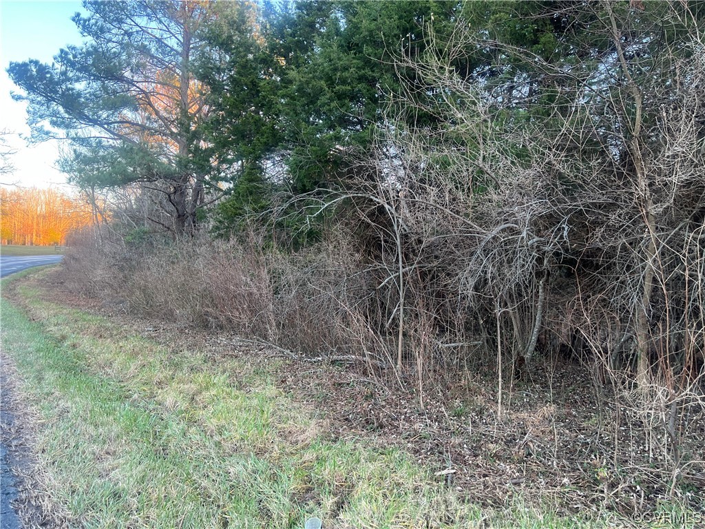 Tbd Hixburg Road Pamplin, VA 23958 - Photo 4 of 4 a view of a forest with trees in the background