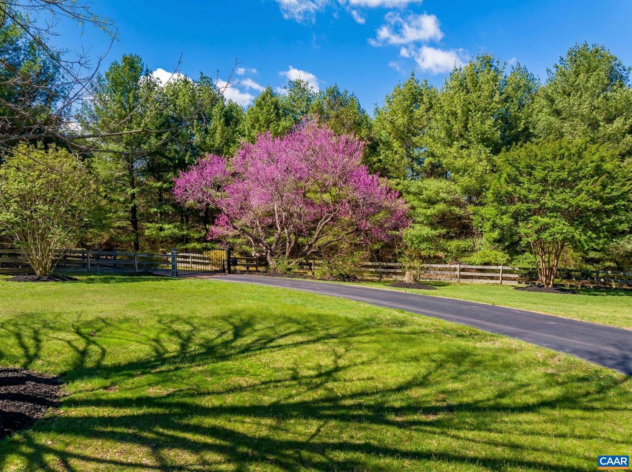 Blue Ridge Mountain views