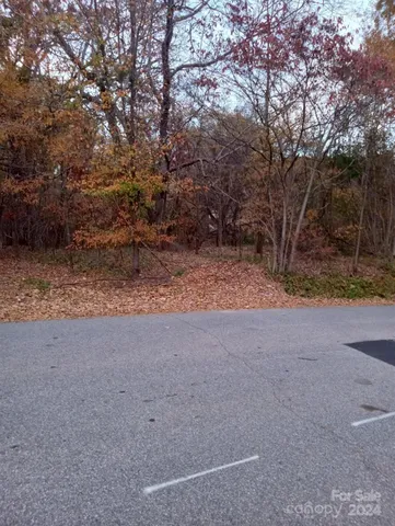 a view of dirt yard with a tree