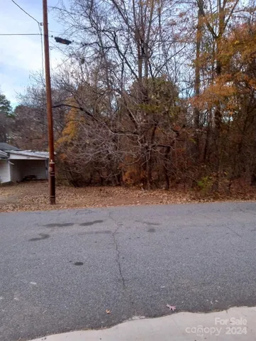 a view of a road from a yard