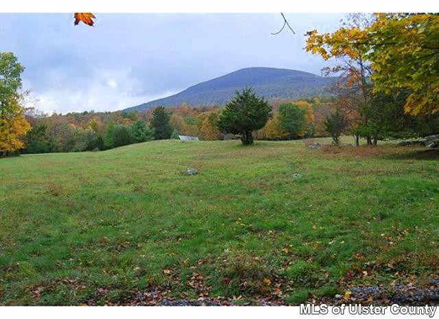 100 Upper Samsonville Road Olivebridge, NY 12461 - Photo 2 of 17 Photo 2