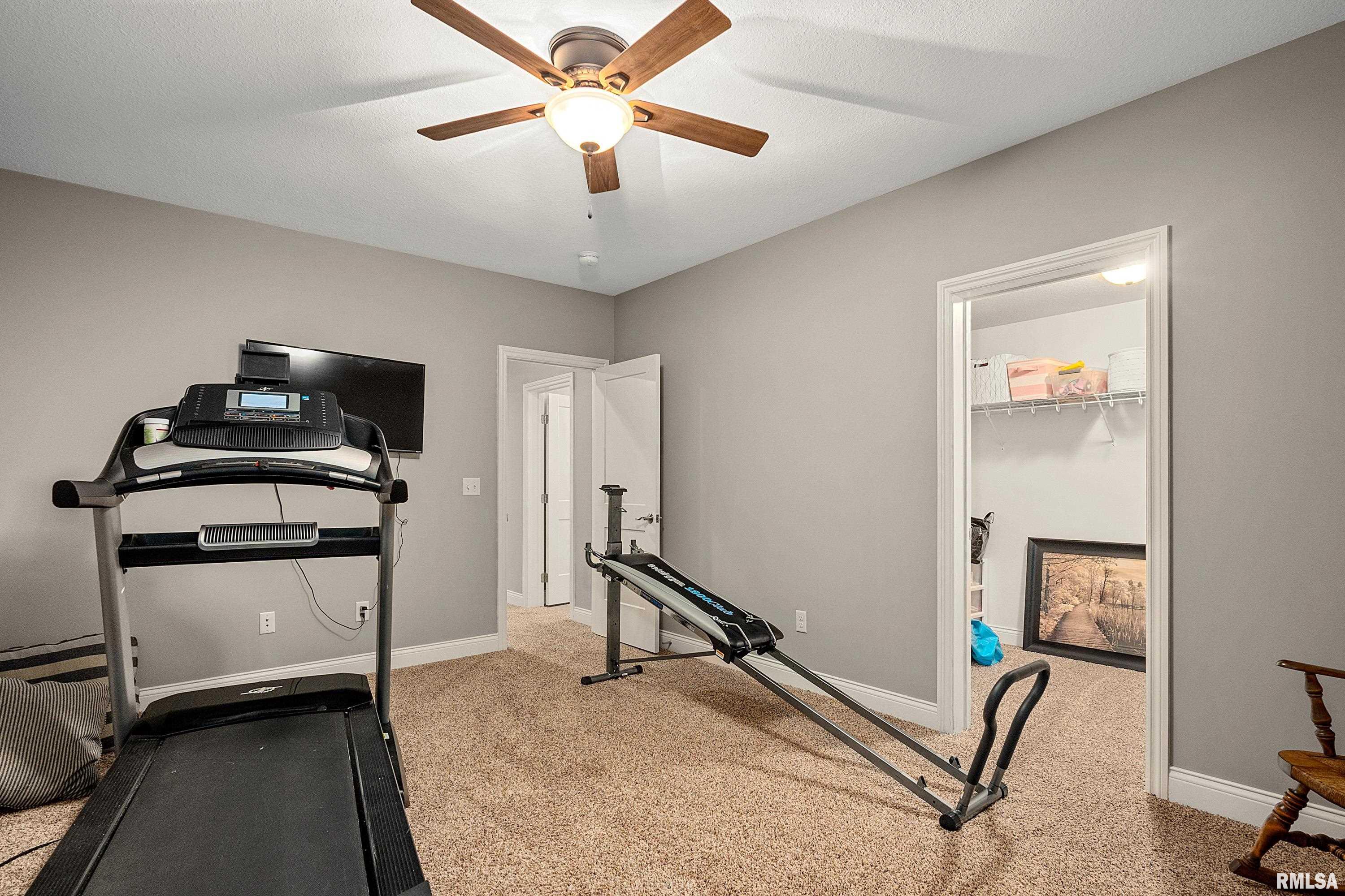 346 Shaggybark Trail Morton, IL 61550 - Photo 55 of 68