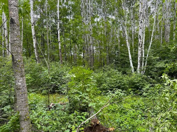 $309,000 | 12755 57th Avenue Southwest, Motley, MN 56466