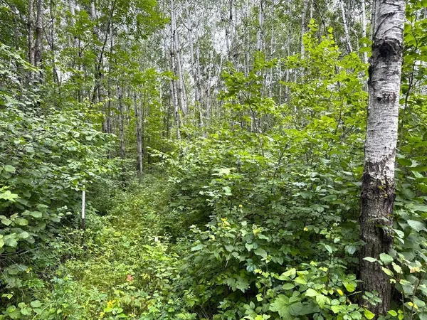$309,000 | 12755 57th Avenue Southwest, Motley, MN 56466