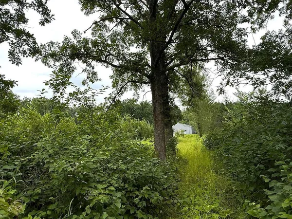 $309,000 | 12755 57th Avenue Southwest, Motley, MN 56466